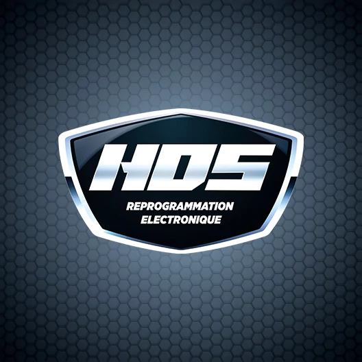 Création du logotype d'une entreprise de reprogrammation élecronique