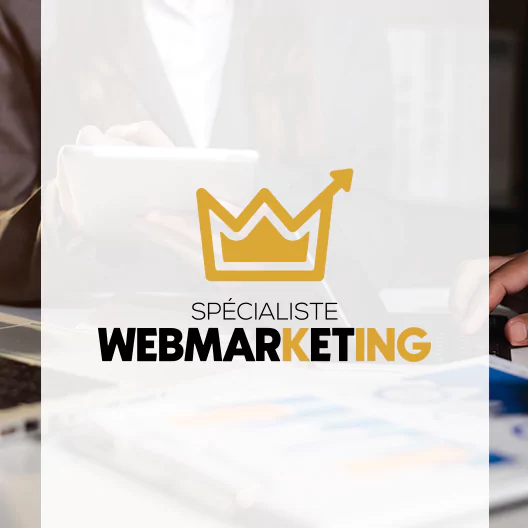 Logo spécialiste webmarketing