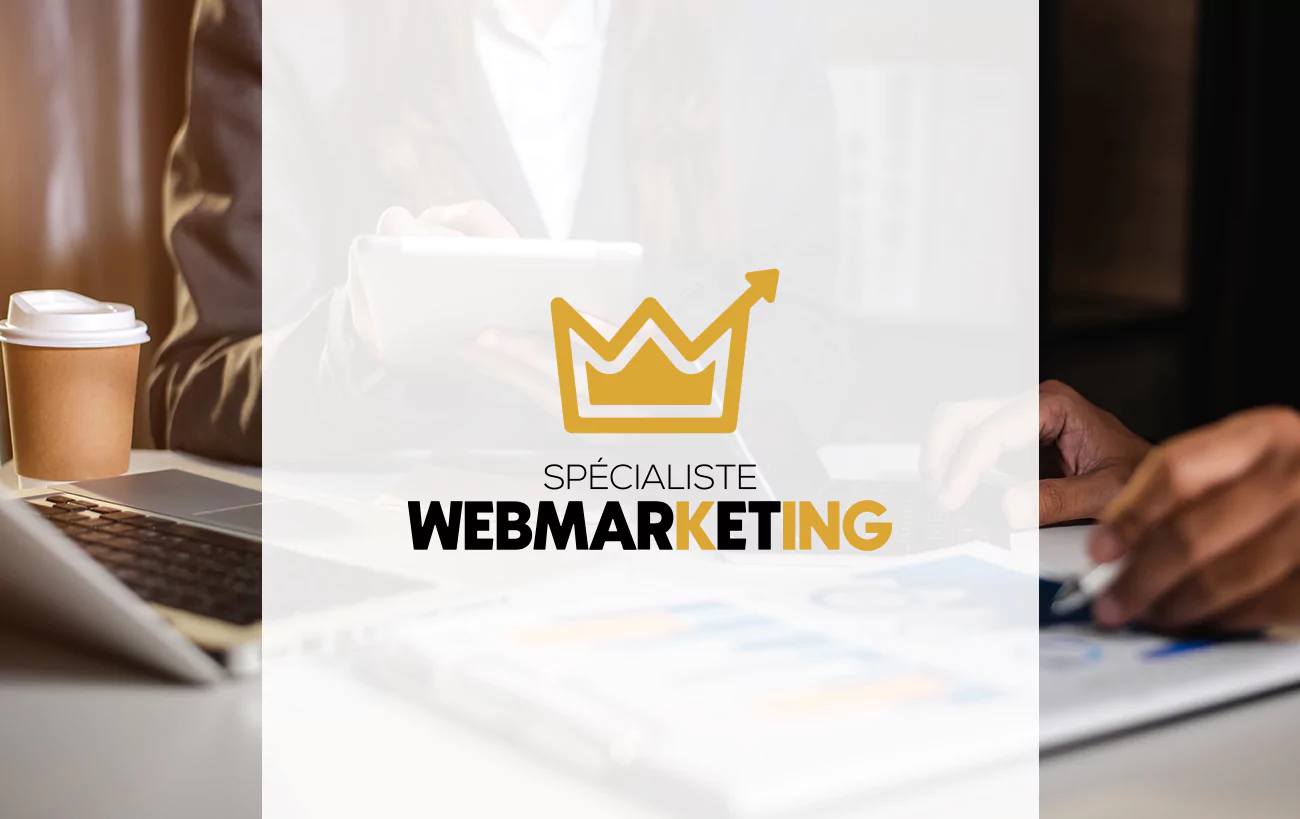 Logo spécialiste webmarketing